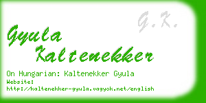 gyula kaltenekker business card